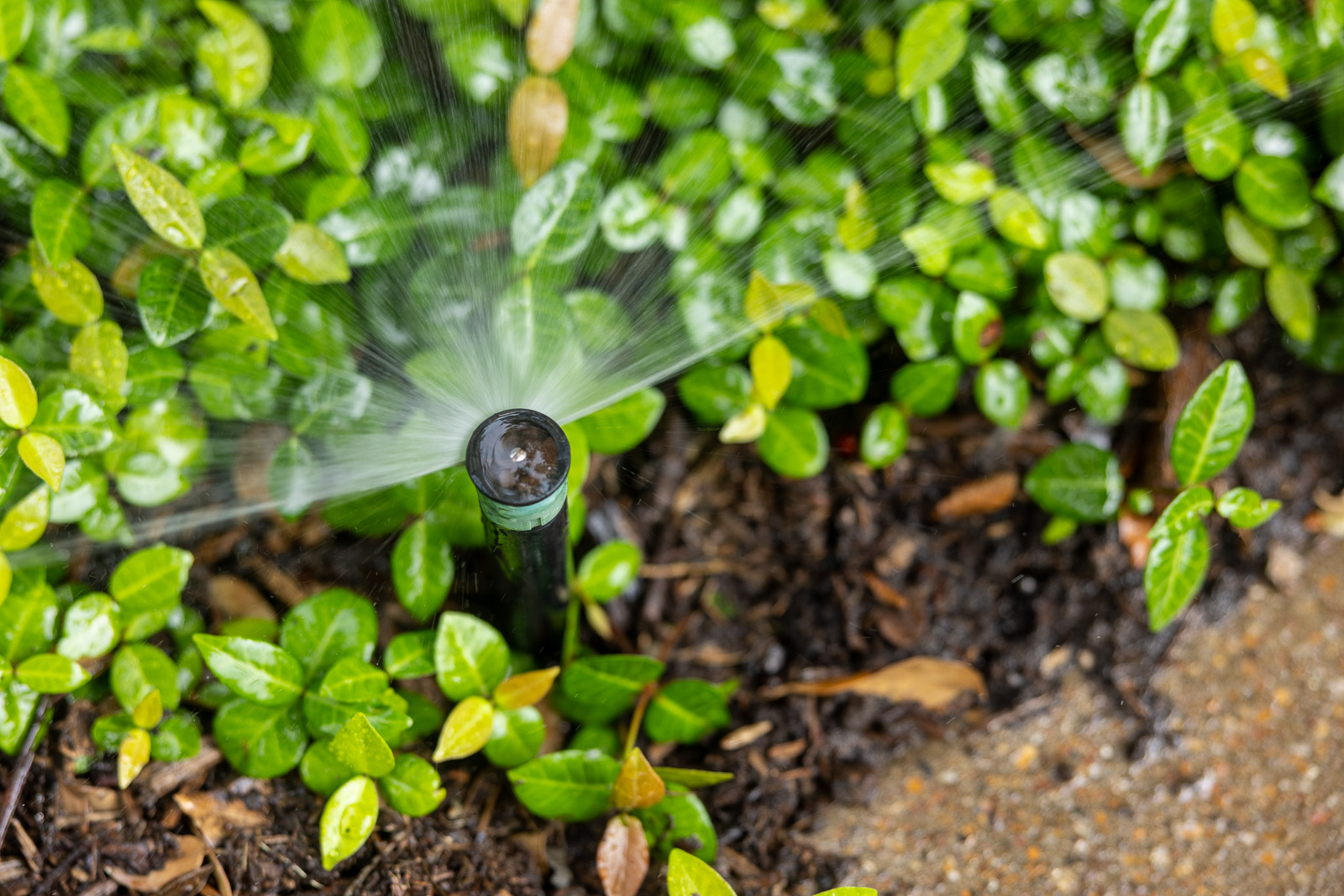 Grassperson Lawn Care & Landscape team and workplace 3