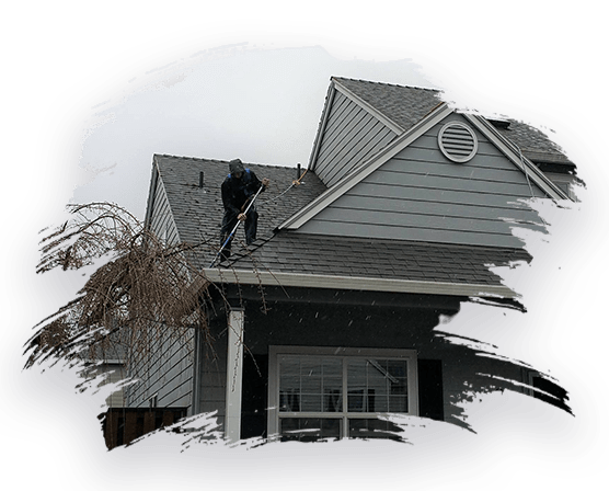 See Clearly Window Cleaning team and workplace 2
