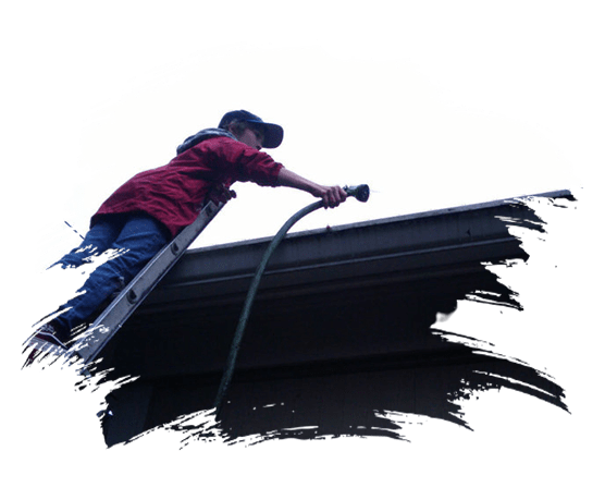 See Clearly Window Cleaning team and workplace 1