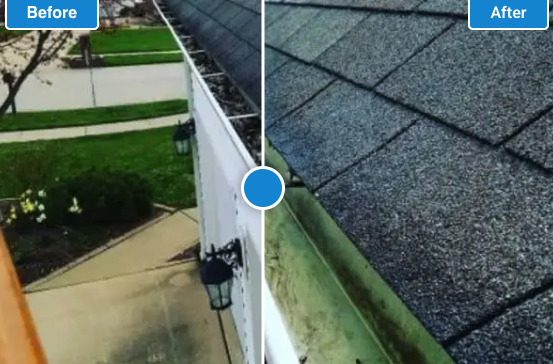 Mountain View Window Cleaning team and workplace 3