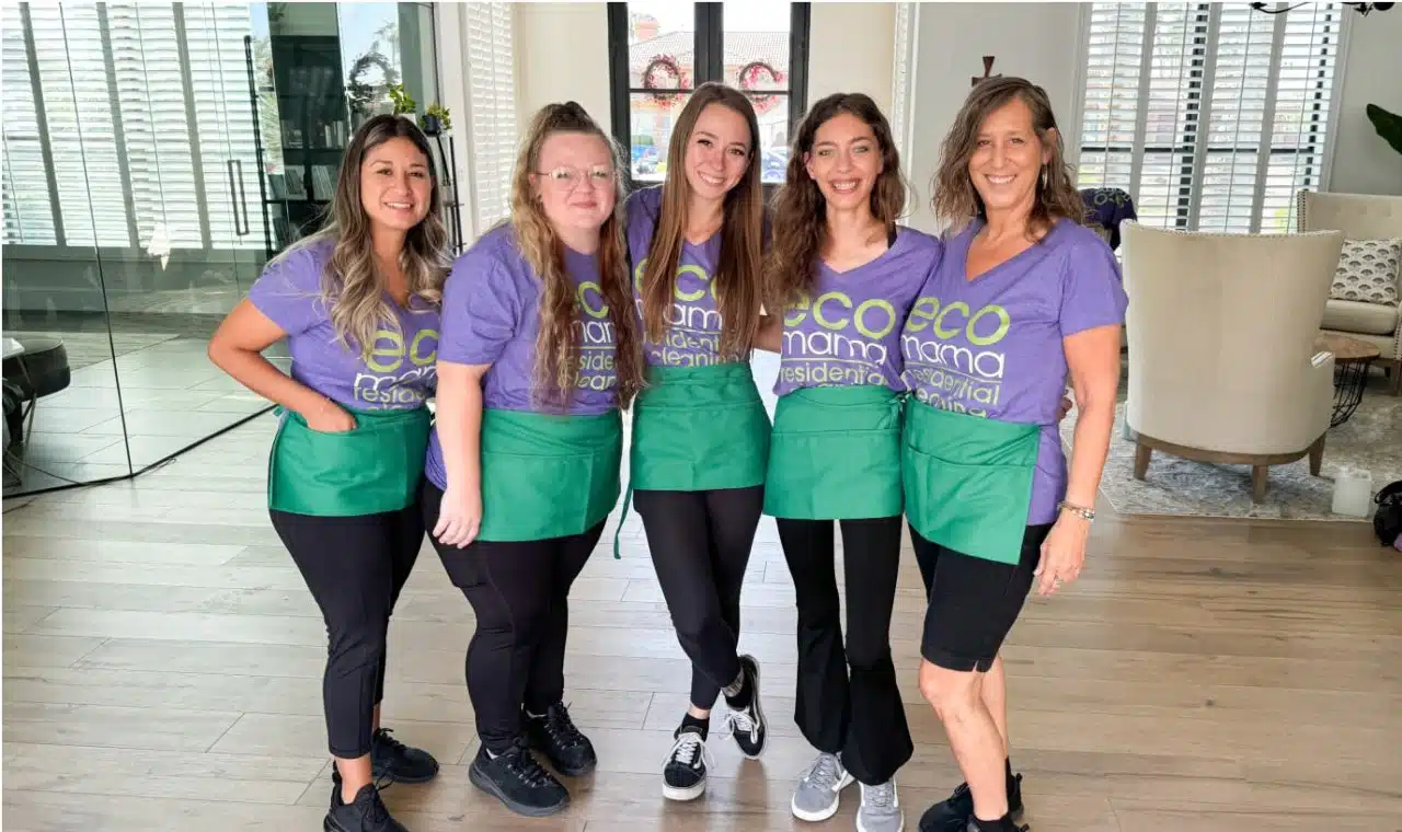 Eco Mama Green Clean team and workplace 2