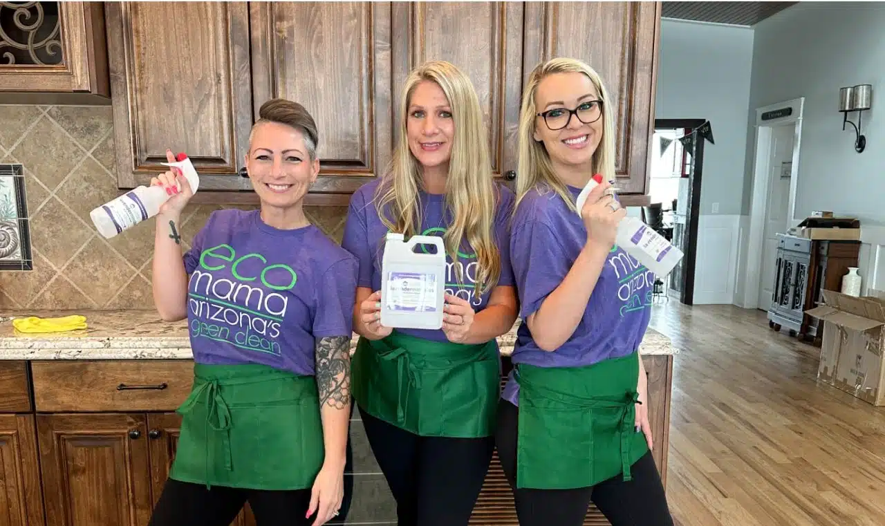 Eco Mama Green Clean team and workplace 3