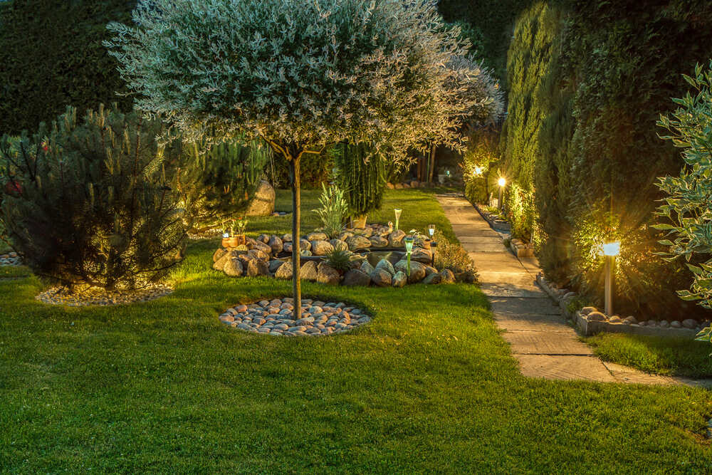 Above & Beyond Tree and Shrubbery Service Inc. team and workplace 2