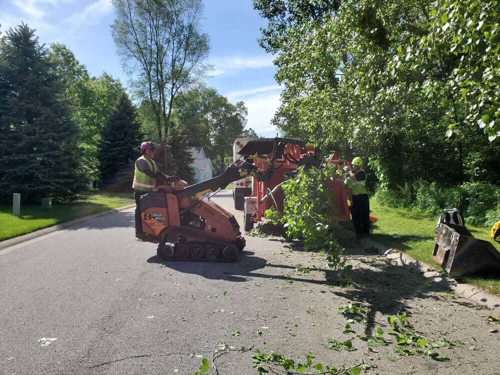 Above & Beyond Tree and Shrubbery Service Inc. team and workplace 3