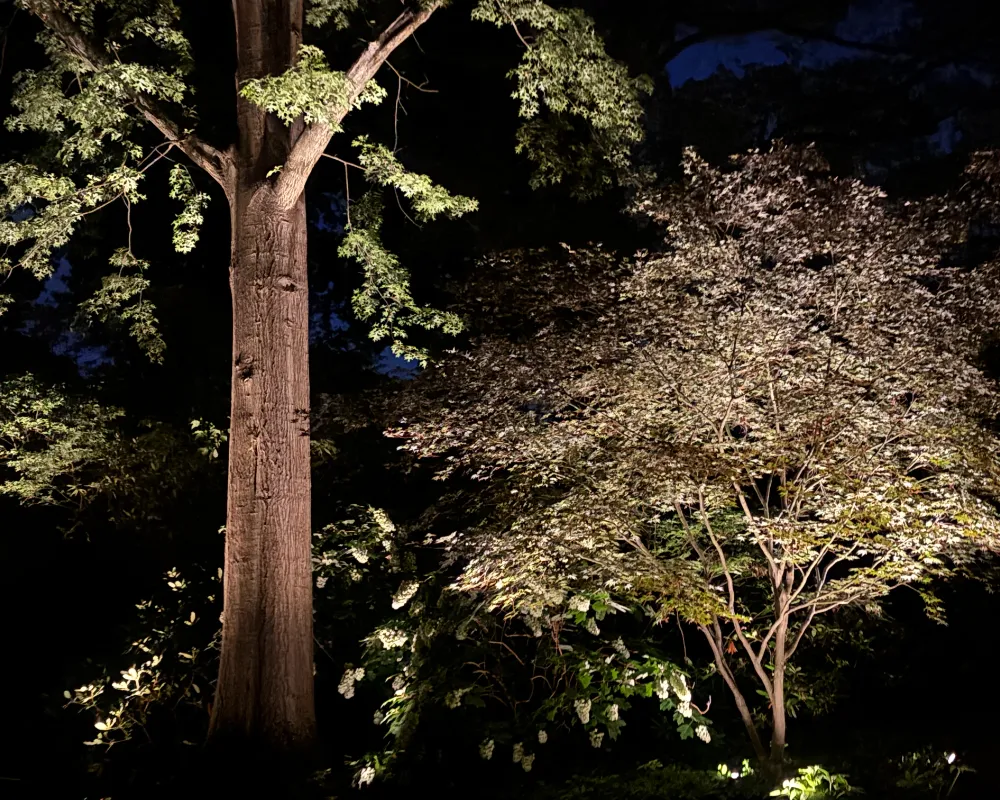 Larkin Outdoor Lighting team and workplace 3
