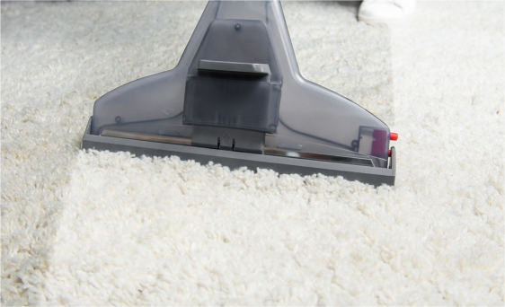 Preferred Floor & Fiber Care team and workplace 2