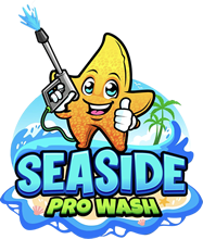 Seaside Pro Wash logo